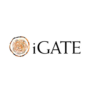 i-Gate